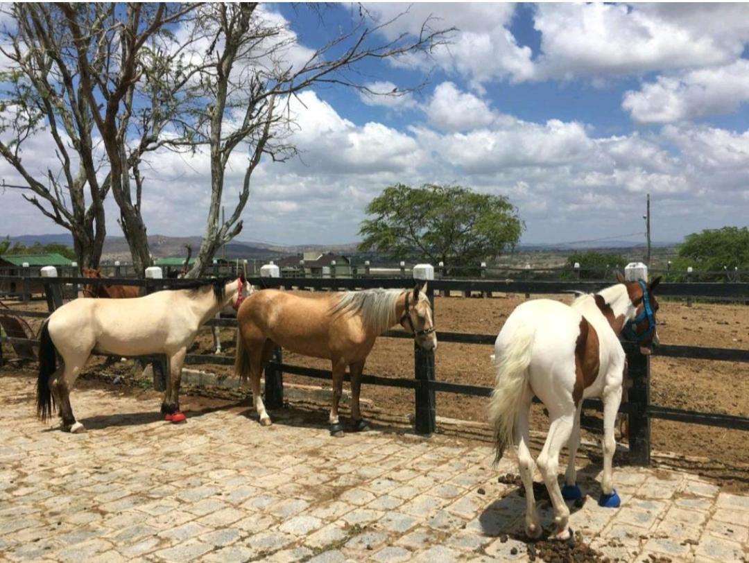 Apart Hotel Fazenda Monte Castelo - Gravata Zewnętrze zdjęcie